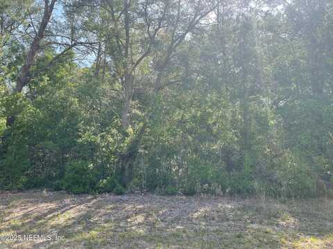 0 SCOTT Road, Florahome, FL 32140