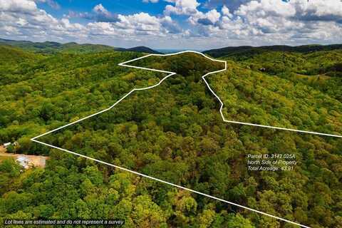 43.91 Old Burnt Mountain Road, Ellijay, GA 30540