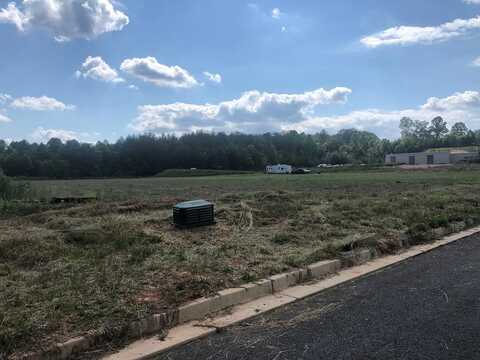 2 Blackhawk Drive, Blue Ridge, GA 30513