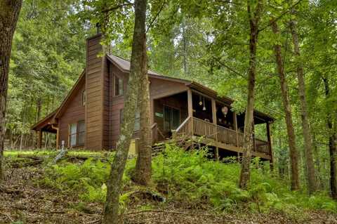 170 Spring Creek, Blue Ridge, GA 30513