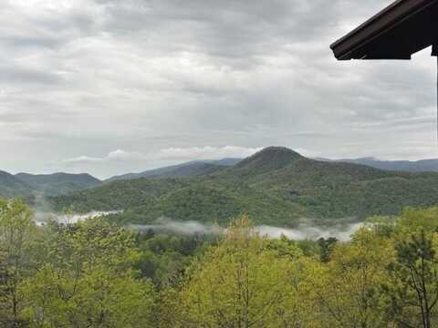 2608 The Ridges, Hiawassee, GA 30546