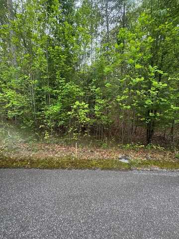 Lot 7 Arden Acres, Blairsville, GA 30512