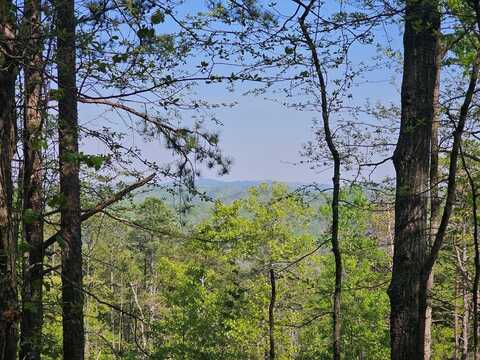 391 Meteor Court, Ranger, GA 30734