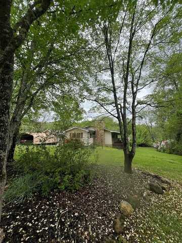 267 Mountain Rivers Road, Mineral Bluff, GA 30559