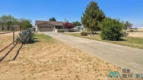 808 E Chapman Road, Carlsbad, NM 88220
