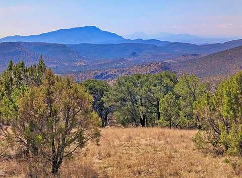 109 Low Meadow Trail, Fort Davis, TX 79734