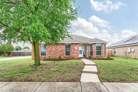 301 Meadow View Lane, Anna, TX 75409