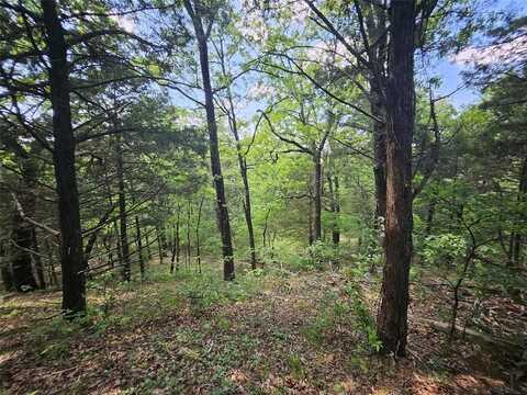Tbd Lot 30 S Oakmont Court, Gordonville, TX 76245
