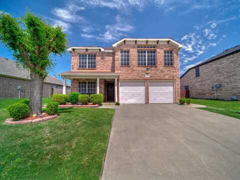 1029 Rosita Street, Arlington, TX 76002