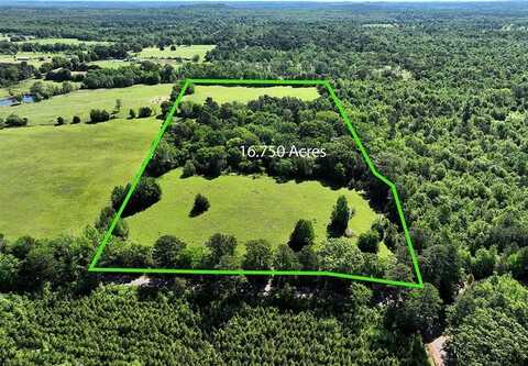 Tbd Ginger Rd, Tract 3-16.75 Ac, Gilmer, TX 75644