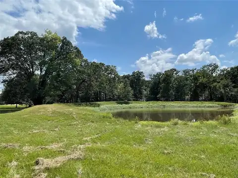Lot 4 Rains Co Rd 2420, Alba, TX 75410