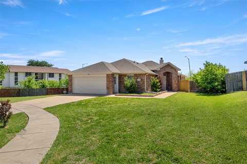 901 Timber Oaks Court, Arlington, TX 76010