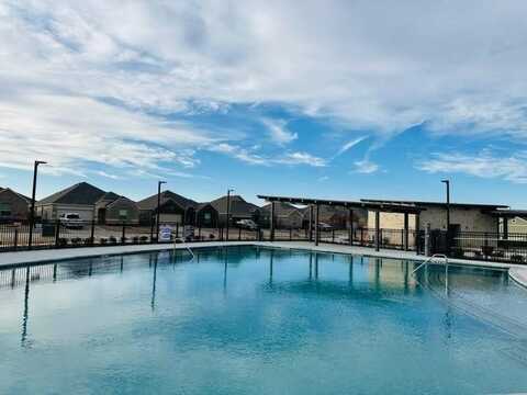 1230 Cherry Bark Drive, Princeton, TX 75407