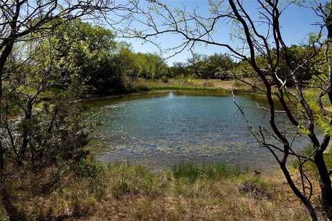 12345 County Road 107, Mingus, TX 76463