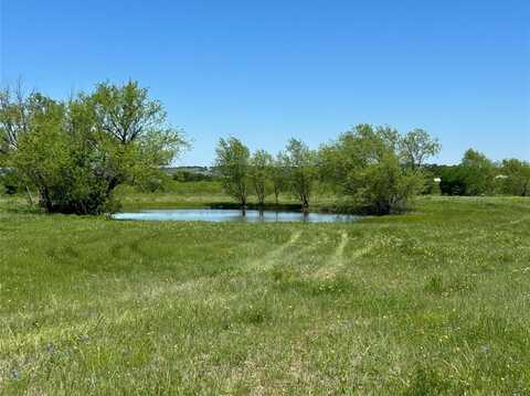 10020 Norrell Road, Venus, TX 76084