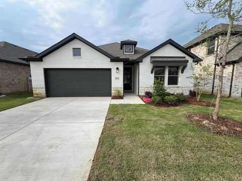 714 Roanoke, Princeton, TX 75407