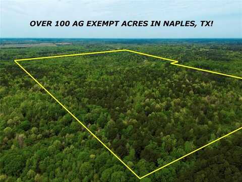 Tbd County Road 2742, Naples, TX 75568