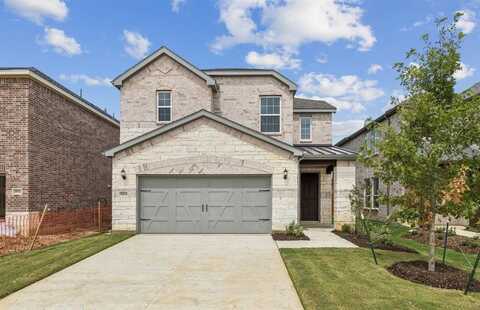3904 Lynx Court, Little Elm, TX 76227