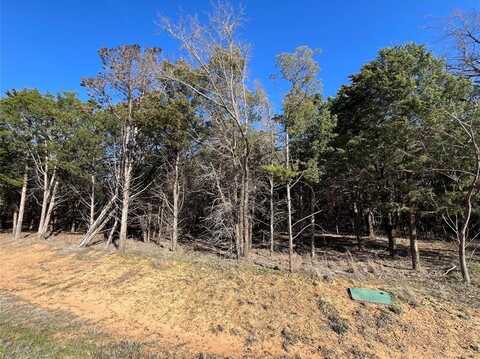 Lot 33 Palisades, Gordonville, TX 76245