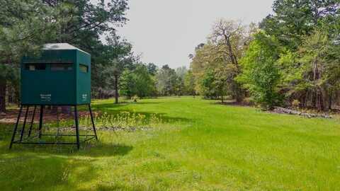 00 FM 315, Larue, TX 75770