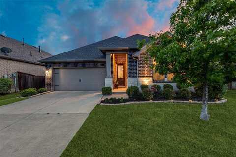 3909 Sunflower Drive, Aubrey, TX 76227