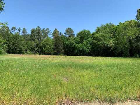 Lot 2 Gibson Road, Athens, TX 75751