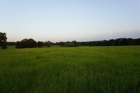 71 Private Rd 5209, Athens, TX 75751