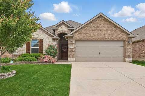 2720 Enchanted Eve Drive, Little Elm, TX 75068