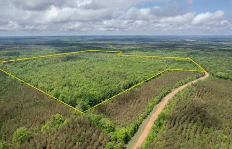 1097 Carver Road, Goresprings, MS 38929