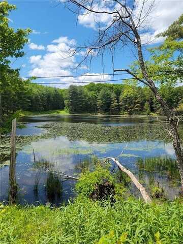 Lot#5 County Highway 13, Pittsfield, NY 13411