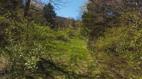 TBD Byrnes Chapel Rd, Bland, VA 24315