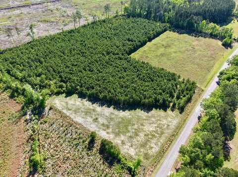 TBD Moselle Road, Islandton, SC 29929
