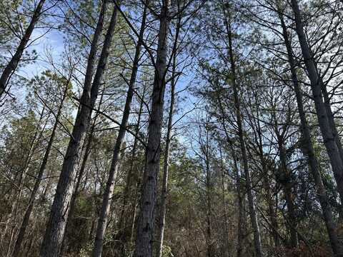 0 CR149, Bruce, MS 38915