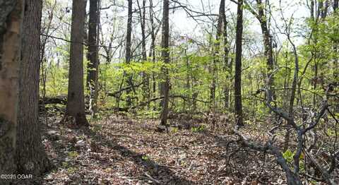 000n Plainview, Anderson, MO 64831