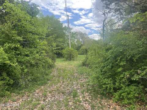 1,2,11-26 Burden Subdivision, Sarcoxie, MO 64862