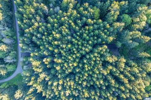 NKA Discovery Ridge Road, Port Townsend, WA 98368