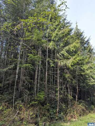 Lone Tree Drive, Sequim, WA 98382