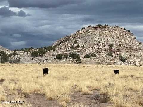 937 Woodland Valley Ranch, Saint Johns, AZ 85936