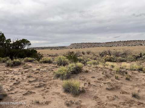 934 Woodland Valley Ranch, Saint Johns, AZ 85936