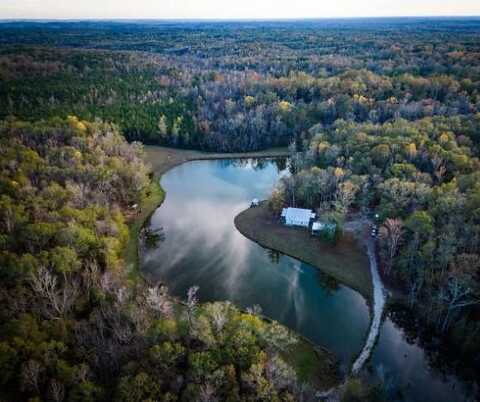10409 Bullock Co Rd 7, Union Springs, AL 36089