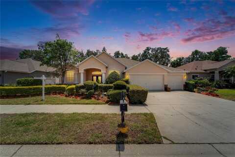 2515 CENTENNIAL FALCON DRIVE, VALRICO, FL 33596