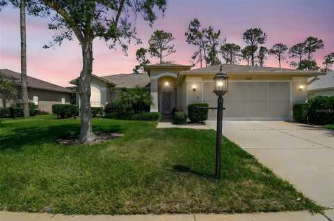 11147 BRAMBLELEAF WAY, HUDSON, FL 34667