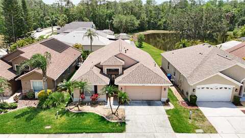 12546 BLAZING STAR DRIVE, TAMPA, FL 33626