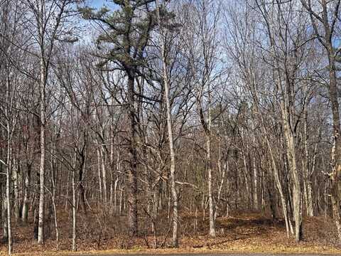 Bear Lane, Jim Thorpe, PA 18229