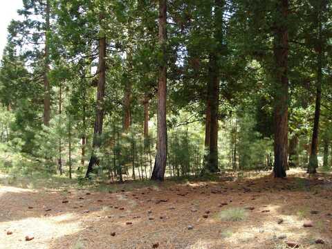 745 Blacktail Ridge, Portola, CA 96122