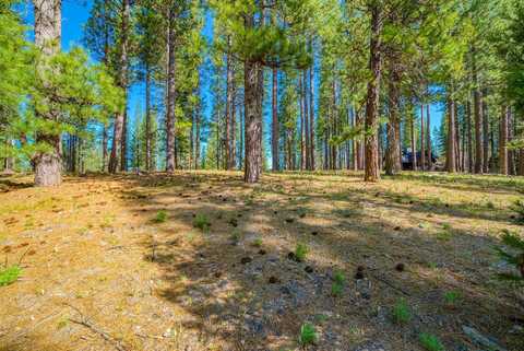 266 Boulder Drive, Clio, CA 96106