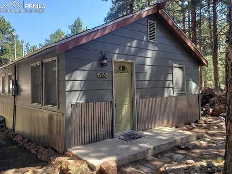 706 W Bowman Avenue, Woodland Park, CO 80863
