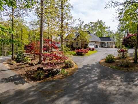 790 Riverwilde Road, Clarkesville, GA 30523