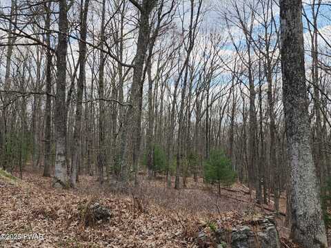Lot 9 Lynric Court, Shohola, PA 18458