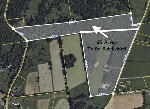 Ayoub Road, Pleasant Mount, PA 18453